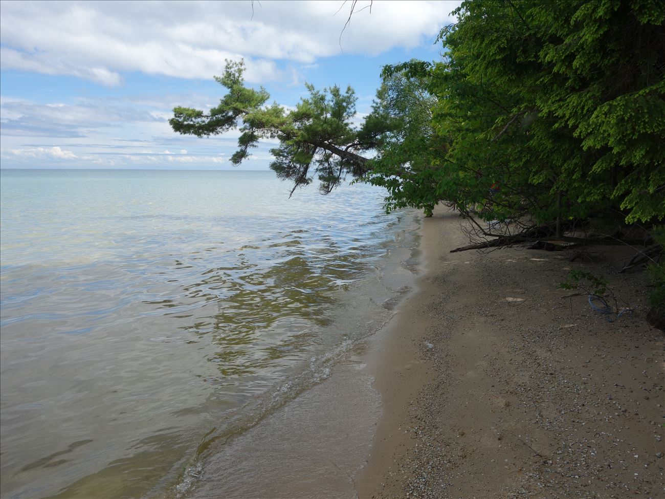 Beach at Martin's Bluff Beach at Martin's Bluff