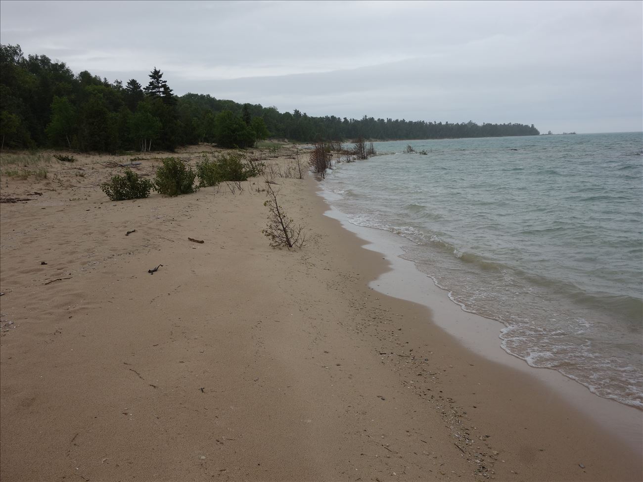 dsc04479.jpg dsc04479.jpg