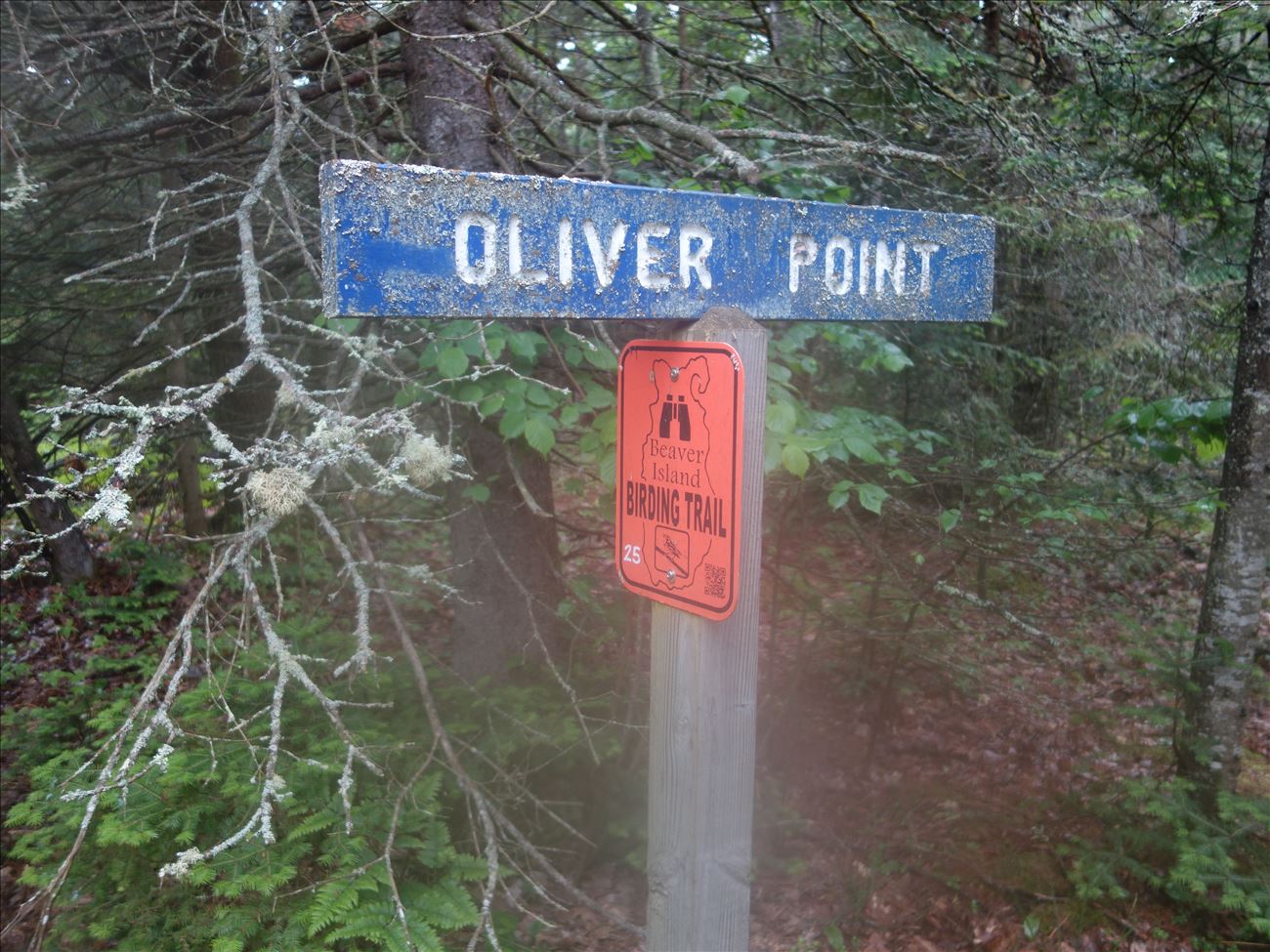 Directional Sign to Oliver's Point Directional Sign to Oliver's Point